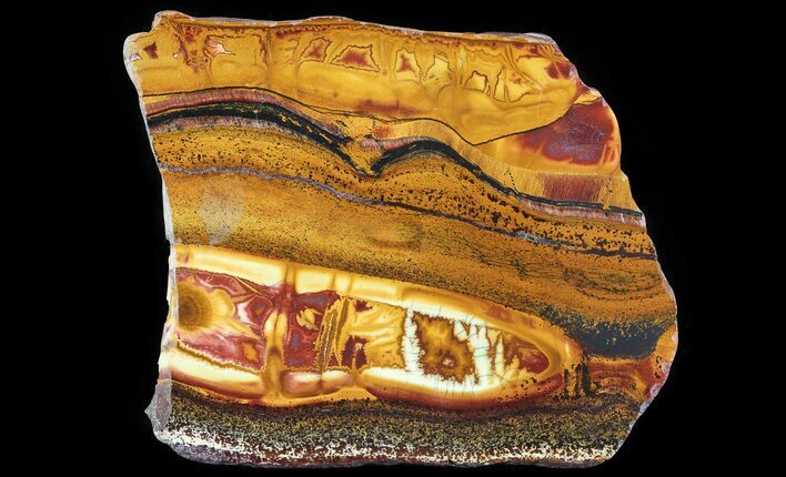 Marra Mamba Stromatolite Slab - Billion Years Old #65236